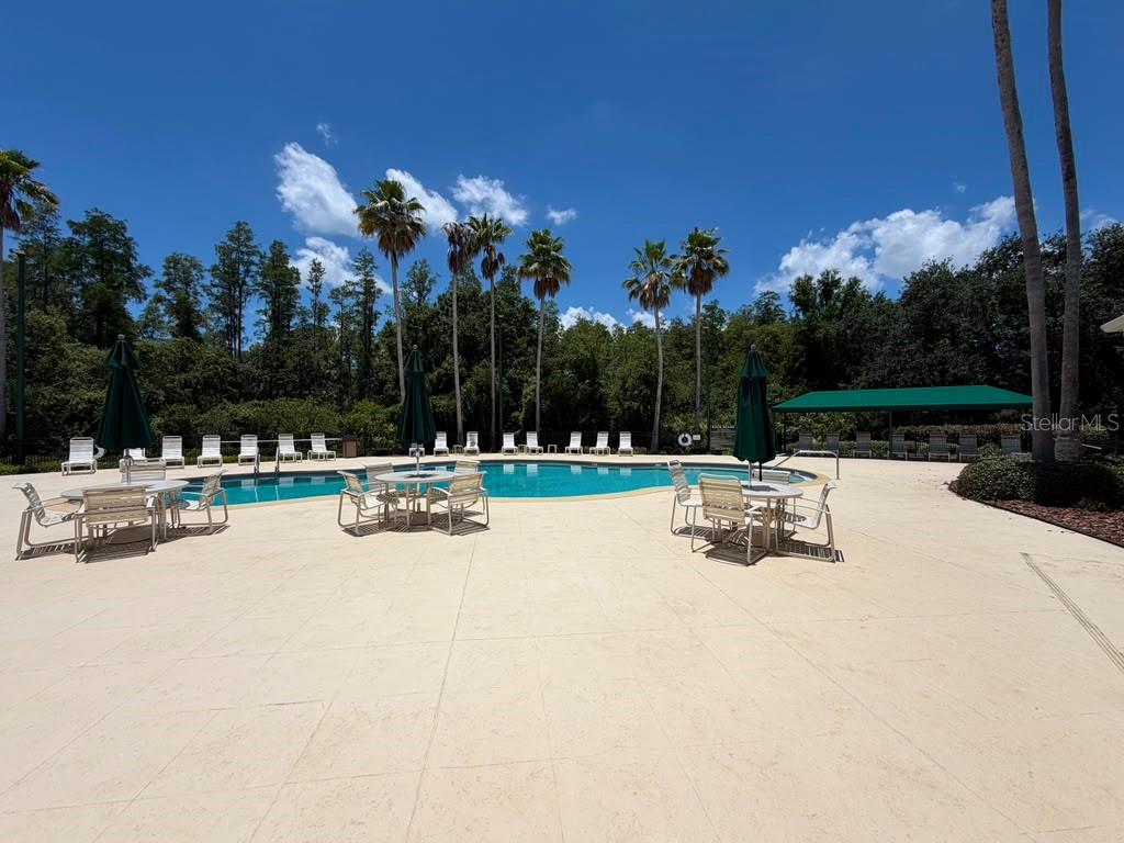 18014 ARBOR CREST DR, TAMPA, FL — photo 41
