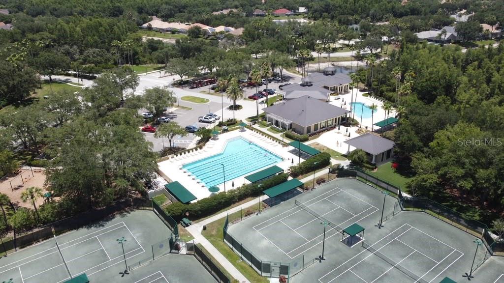 18014 ARBOR CREST DR, TAMPA, FL — photo 42
