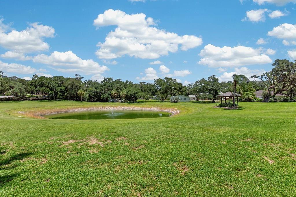 1007 LAKEWOOD DR, BRANDON, FL — photo 69