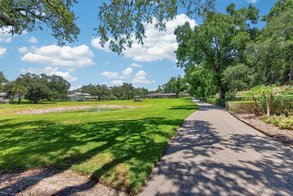 1007 LAKEWOOD DR, BRANDON, FL — photo 70