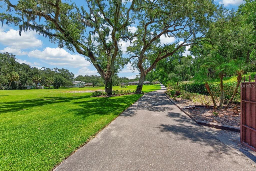 1007 LAKEWOOD DR, BRANDON, FL — photo 71