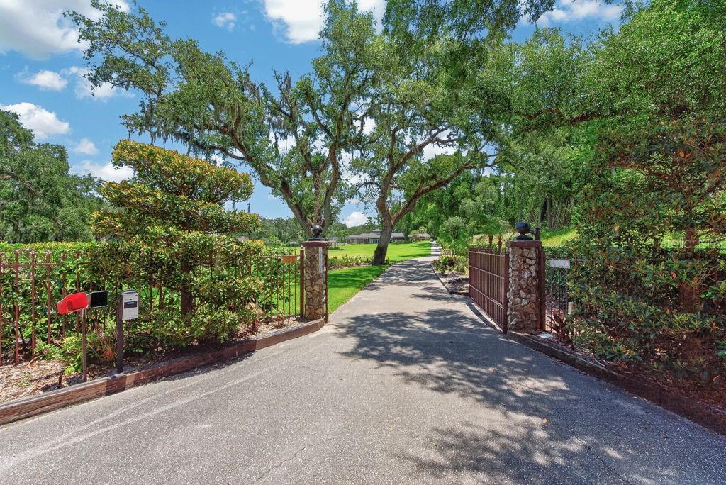 1007 LAKEWOOD DR, BRANDON, FL — photo 72