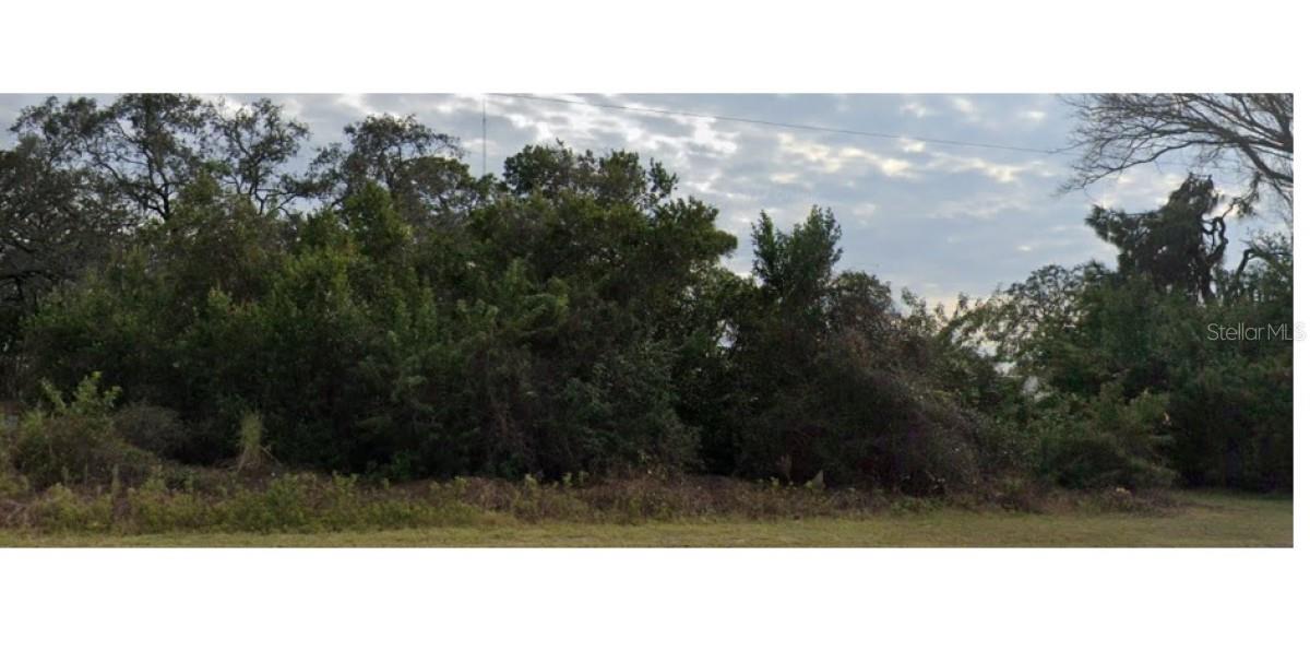 LECANTO ST, HOLIDAY, FL — photo 4