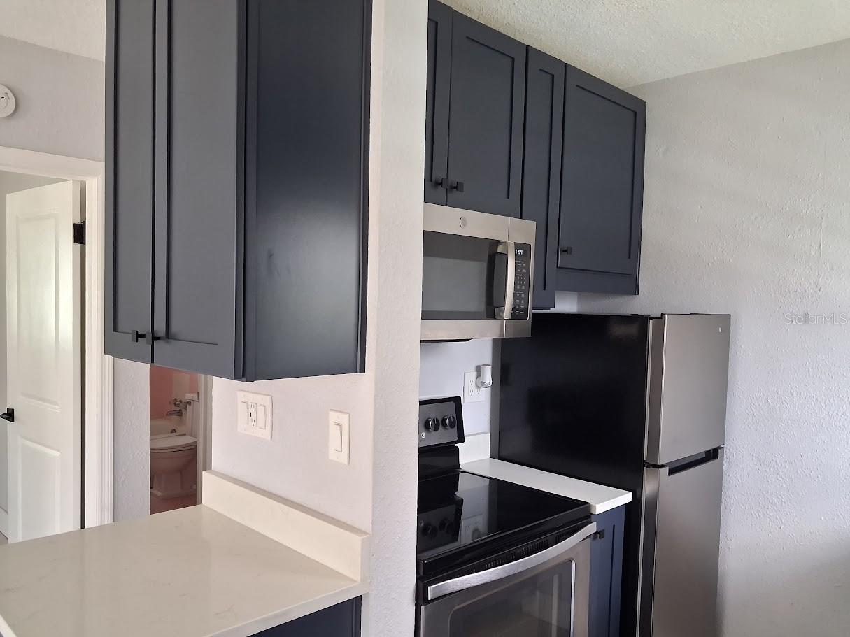 217 BANANA ST, TARPON SPRINGS, FL — photo 9