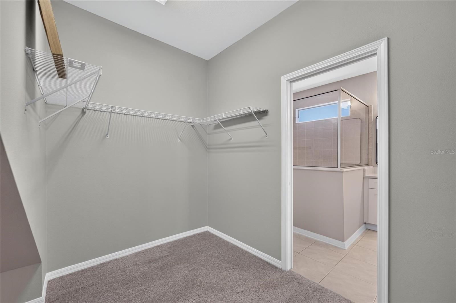 21744 WAVERLY SHORES LN, LAND O LAKES, FL — photo 22