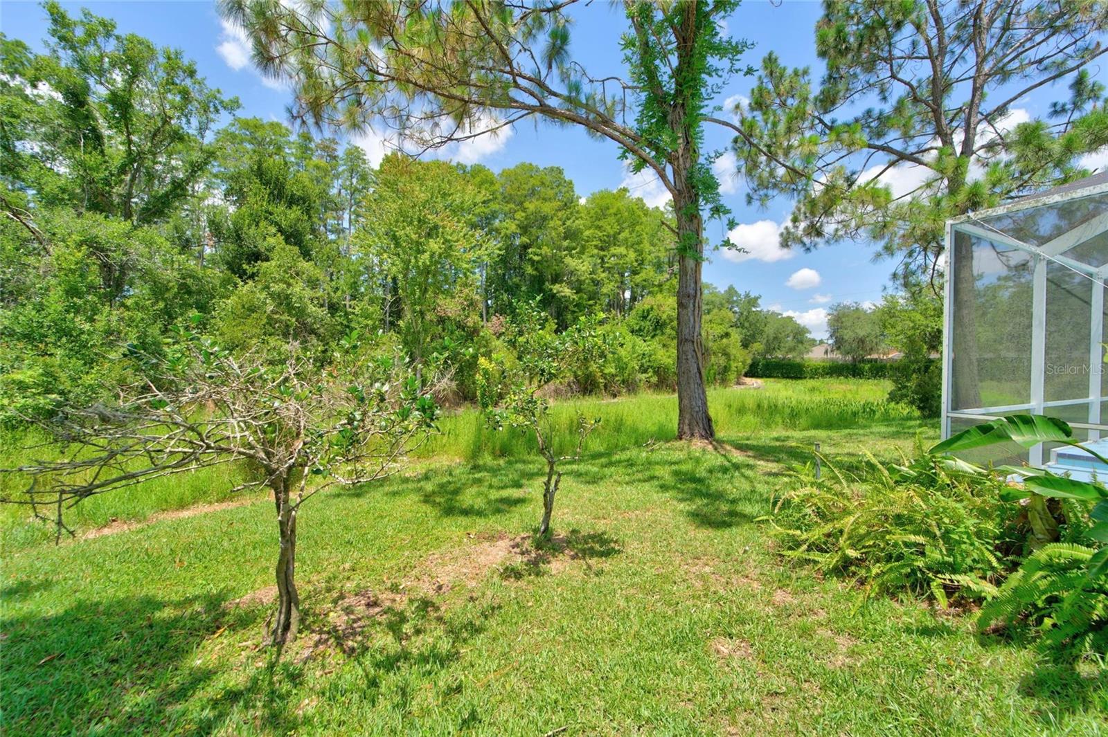 21744 WAVERLY SHORES LN, LAND O LAKES, FL — photo 38