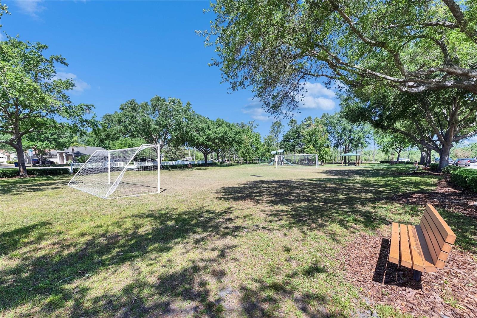 21744 WAVERLY SHORES LN, LAND O LAKES, FL — photo 41