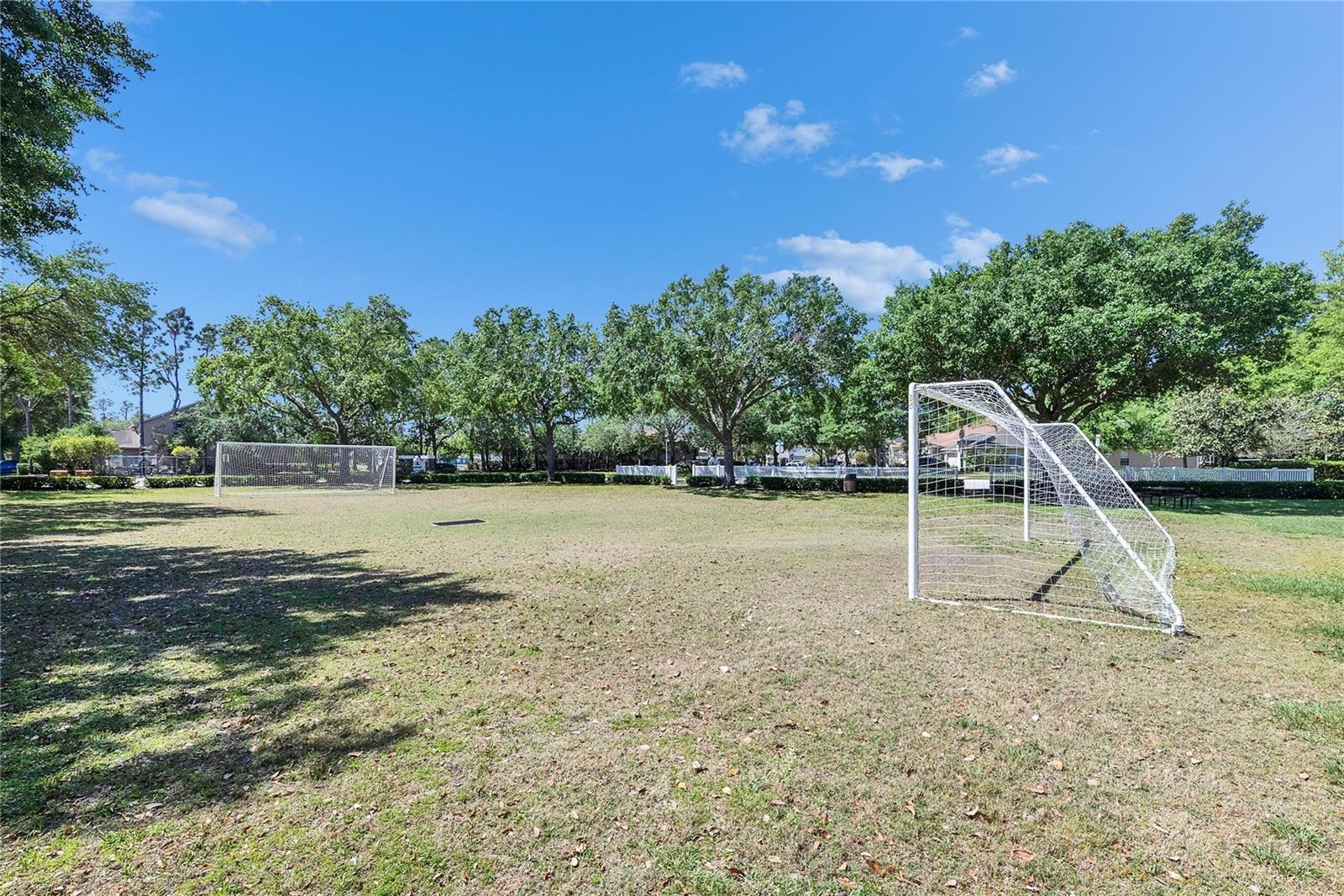 21744 WAVERLY SHORES LN, LAND O LAKES, FL — photo 42