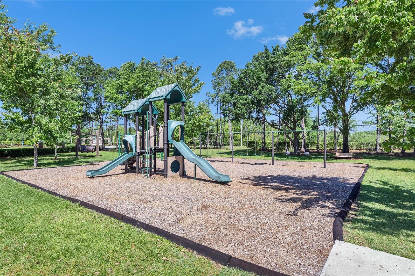21744 WAVERLY SHORES LN, LAND O LAKES, FL — photo 44
