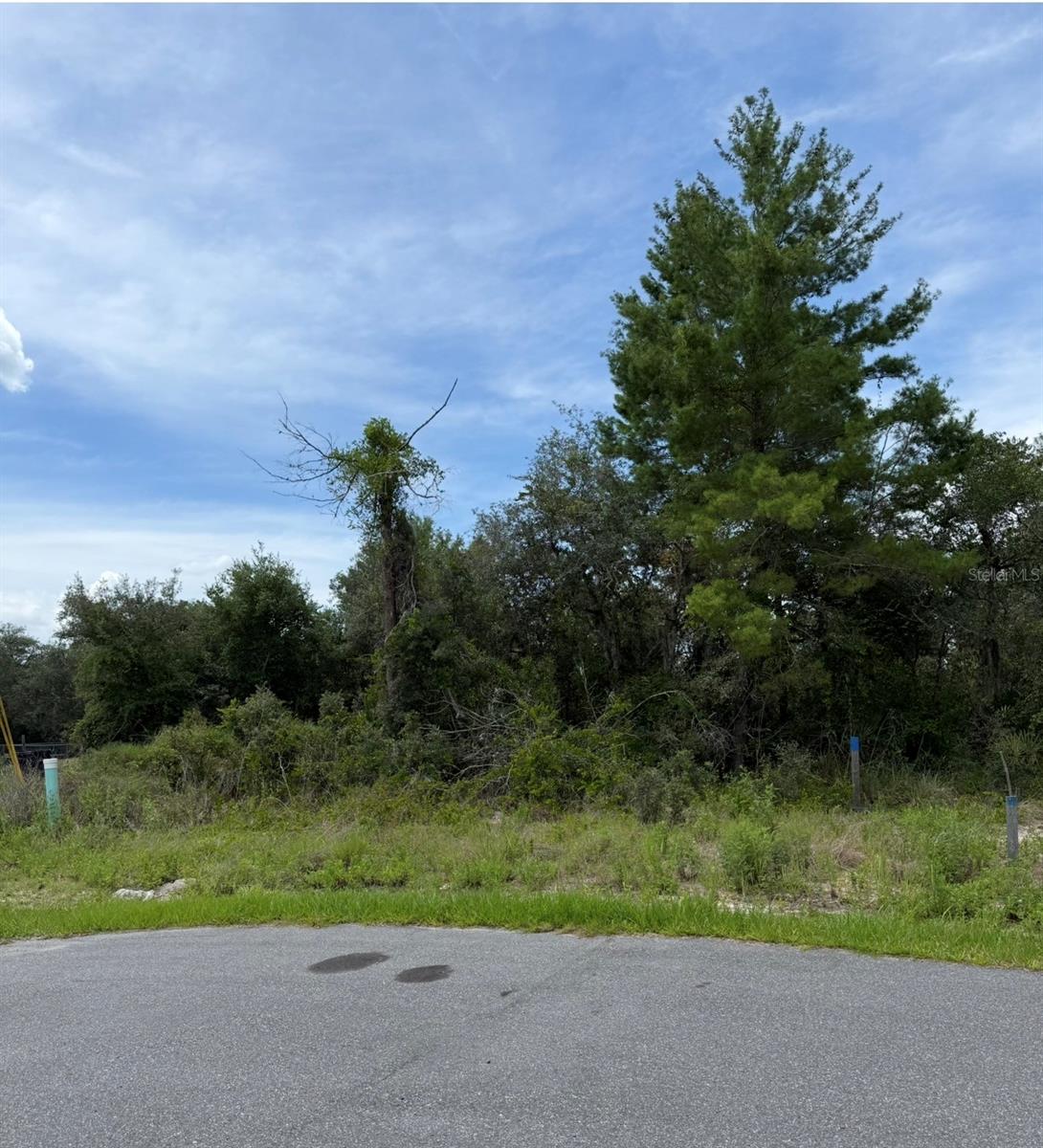 1205 WAVERLY PL, KISSIMMEE, FL — photo 4