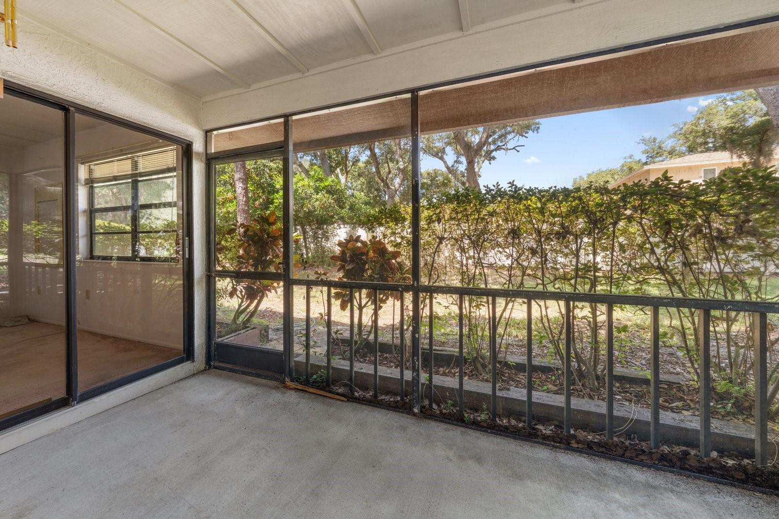 2926 STAR APPLE CT, PALM HARBOR, FL — photo 12