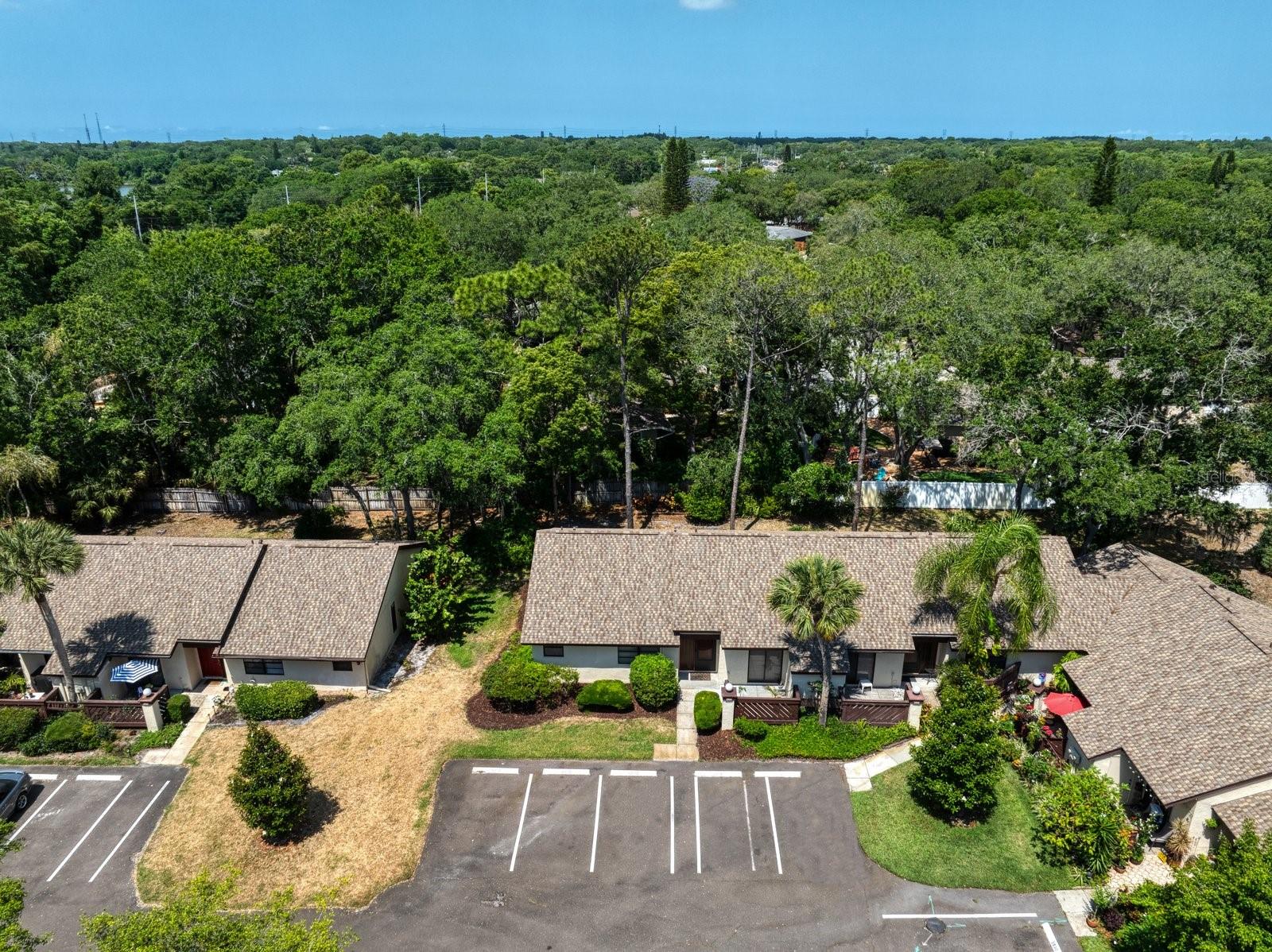 2926 STAR APPLE CT, PALM HARBOR, FL — photo 22