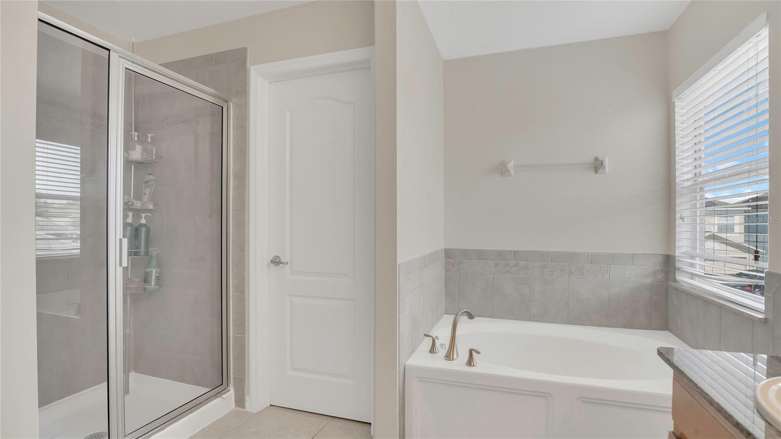 545 FAIRHAVEN DR, DAVENPORT, FL — photo 12