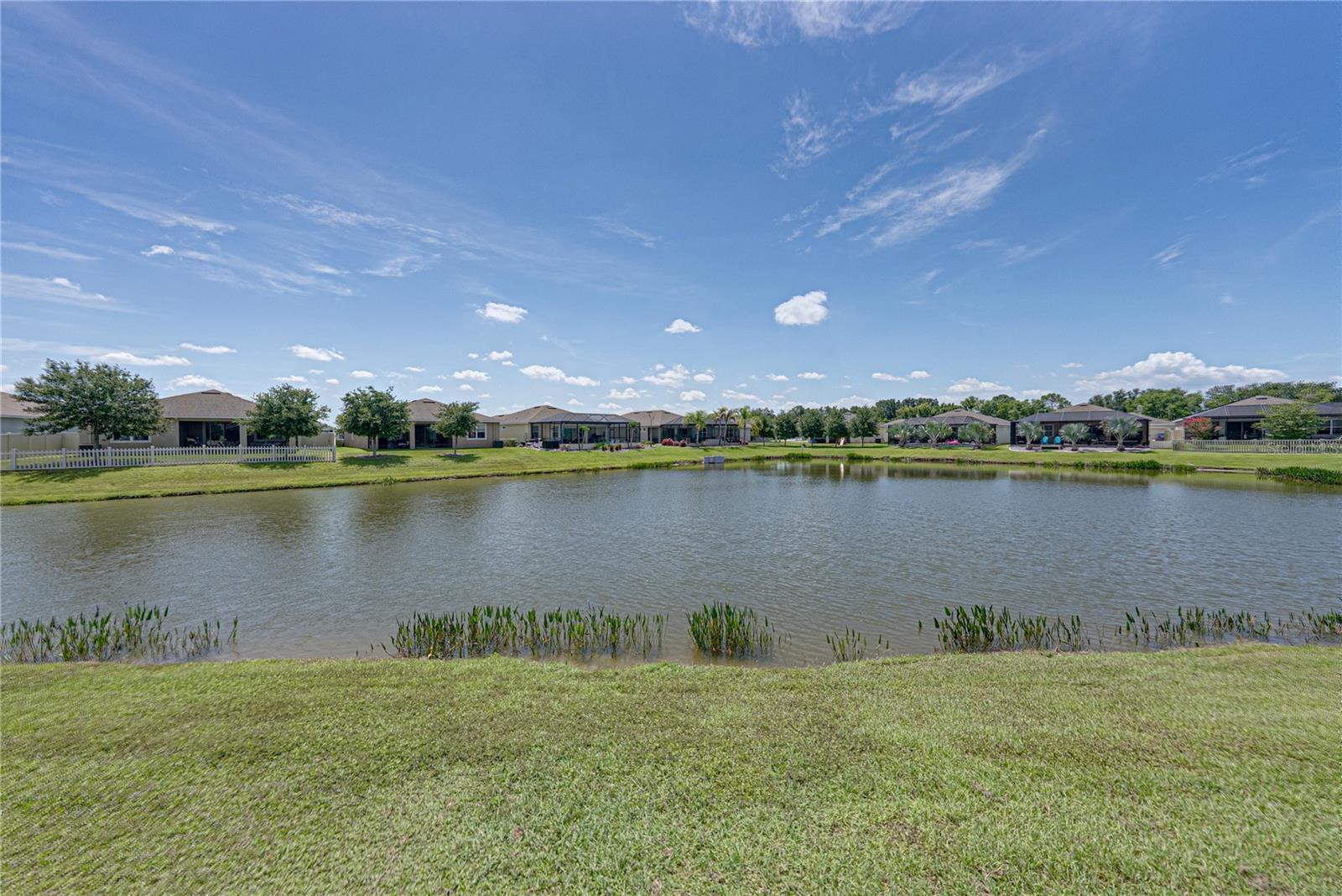 31785 TANSY BND, WESLEY CHAPEL, FL — photo 41