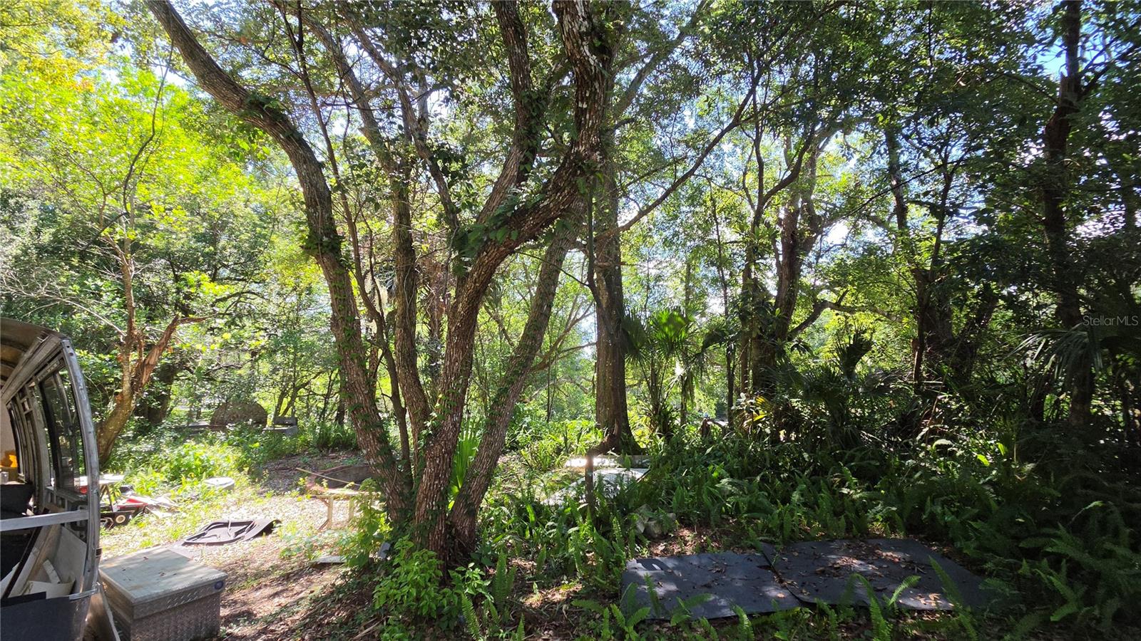 236 N AMELIA AVE, DELAND, FL — photo 13