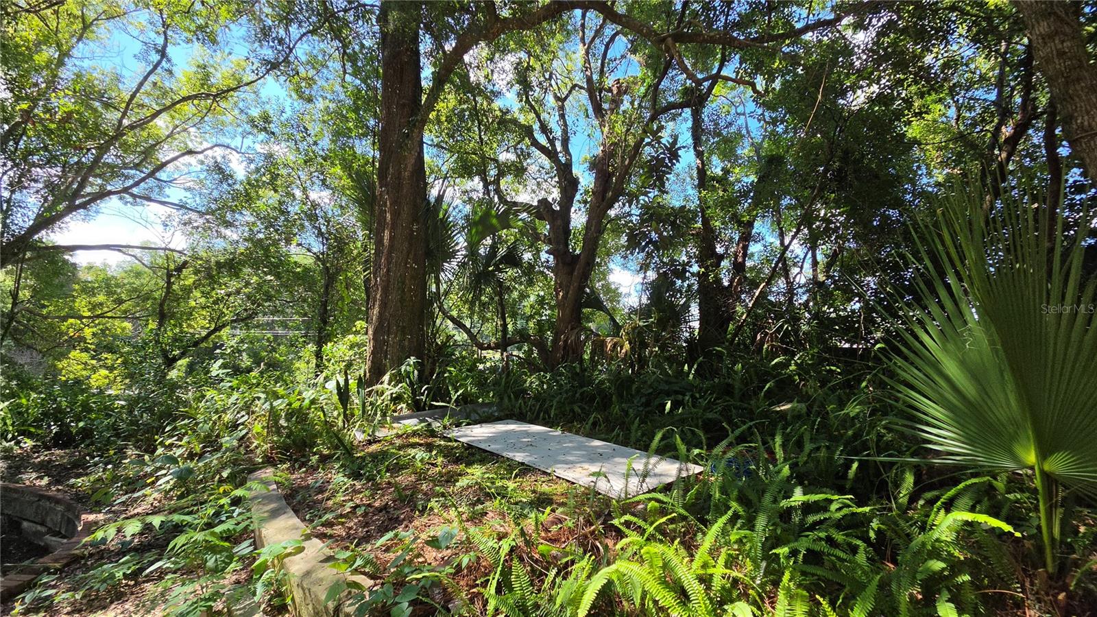 236 N AMELIA AVE, DELAND, FL — photo 16