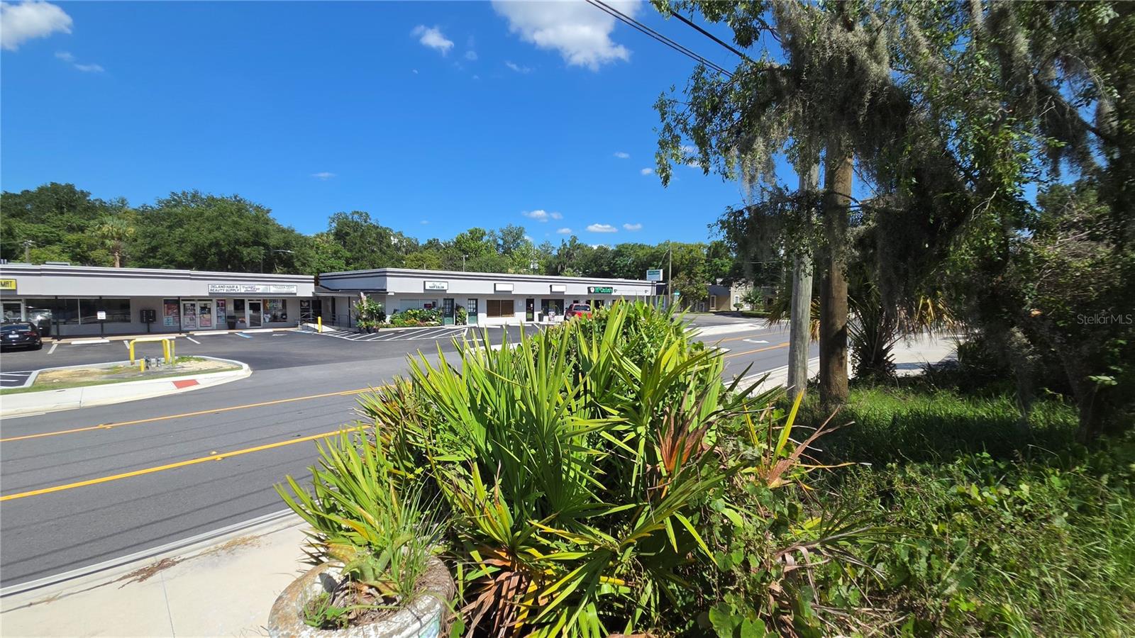 236 N AMELIA AVE, DELAND, FL — photo 4