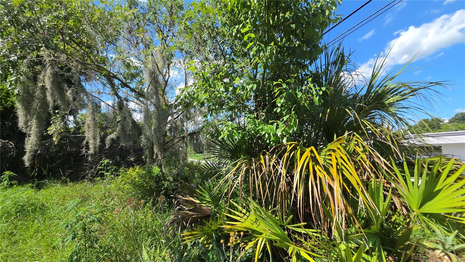 236 N AMELIA AVE, DELAND, FL — photo 29