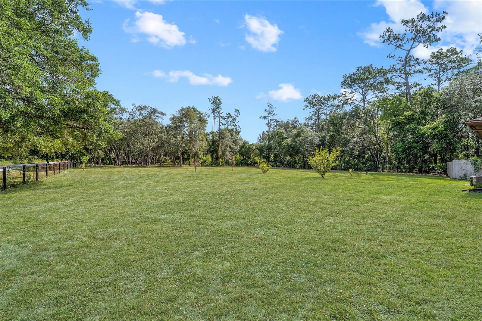 15755 SW 90TH AVE, DUNNELLON, FL — photo 47