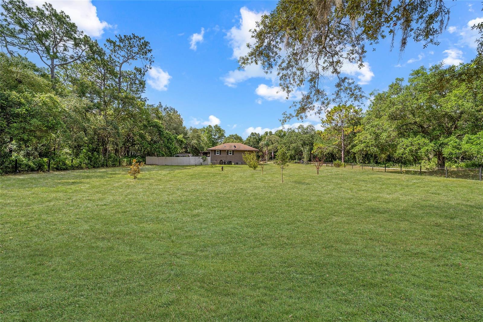 15755 SW 90TH AVE, DUNNELLON, FL — photo 49