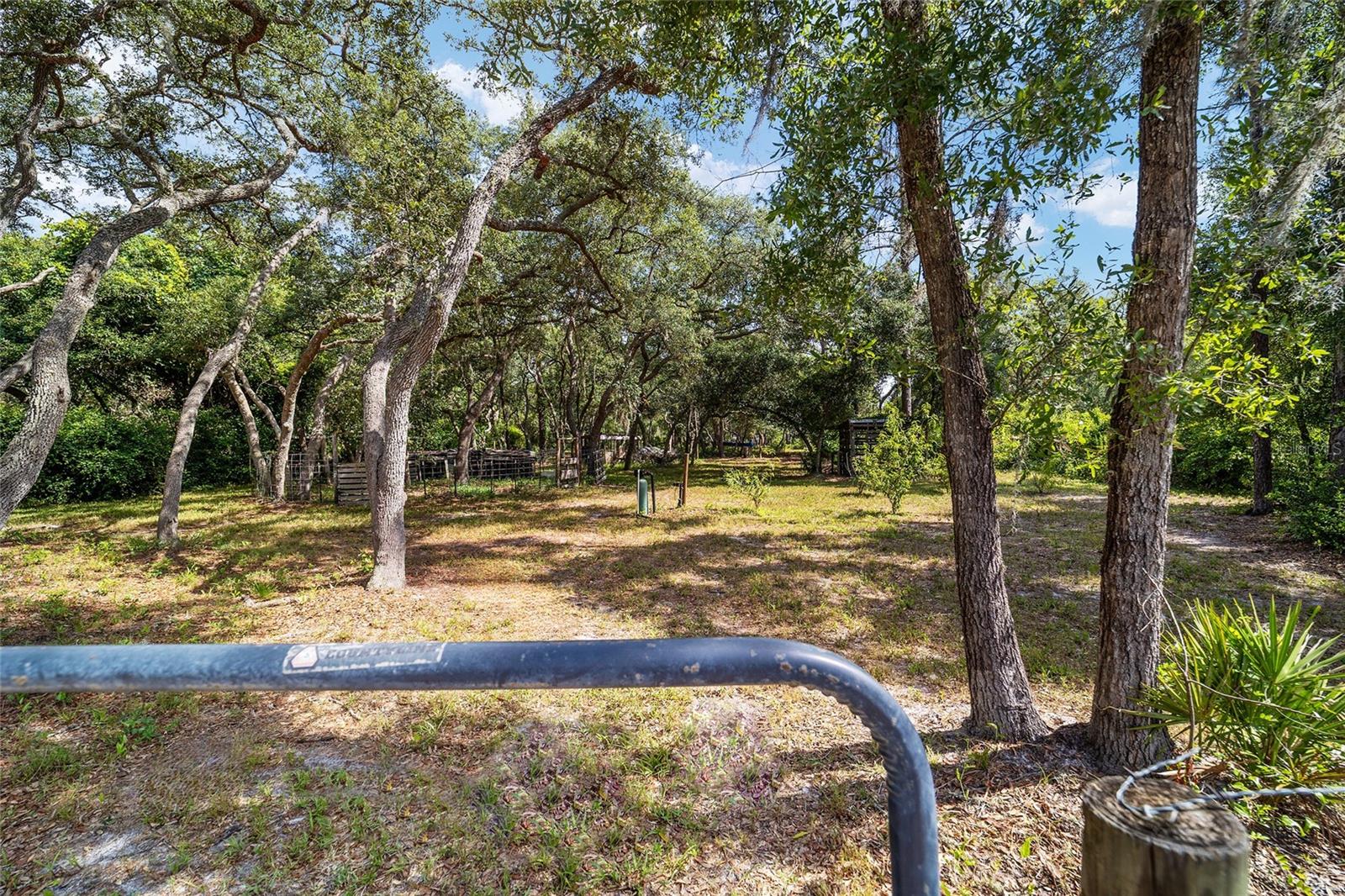 15755 SW 90TH AVE, DUNNELLON, FL — photo 50