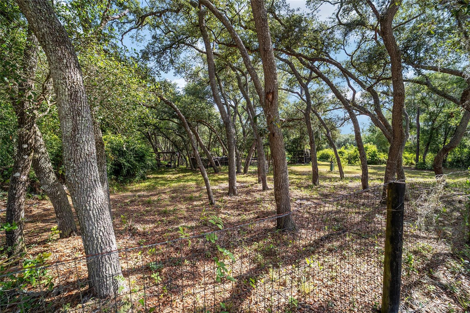 15755 SW 90TH AVE, DUNNELLON, FL — photo 51