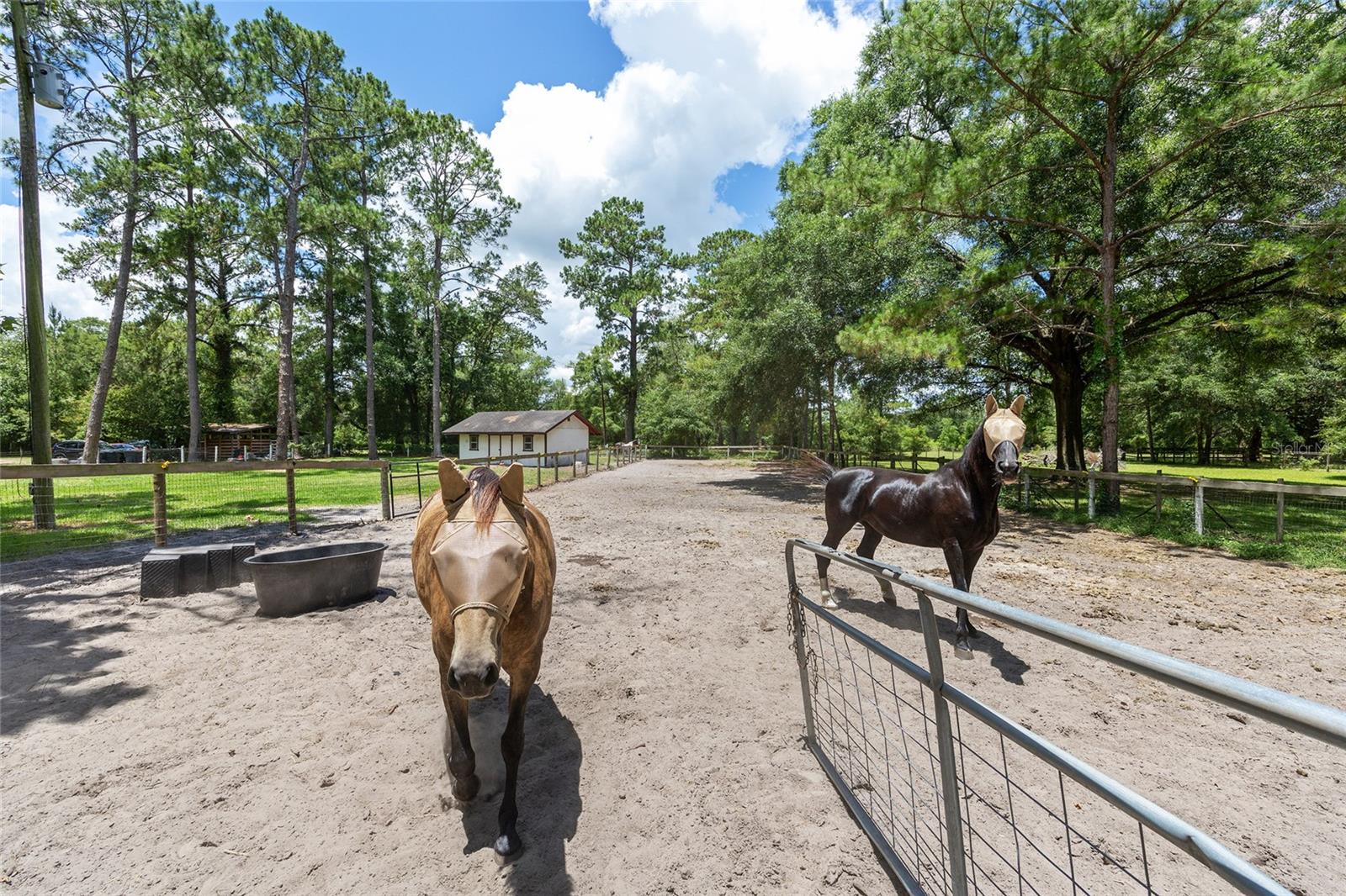 16353 NW 130 ST, WILLISTON, FL — photo 42