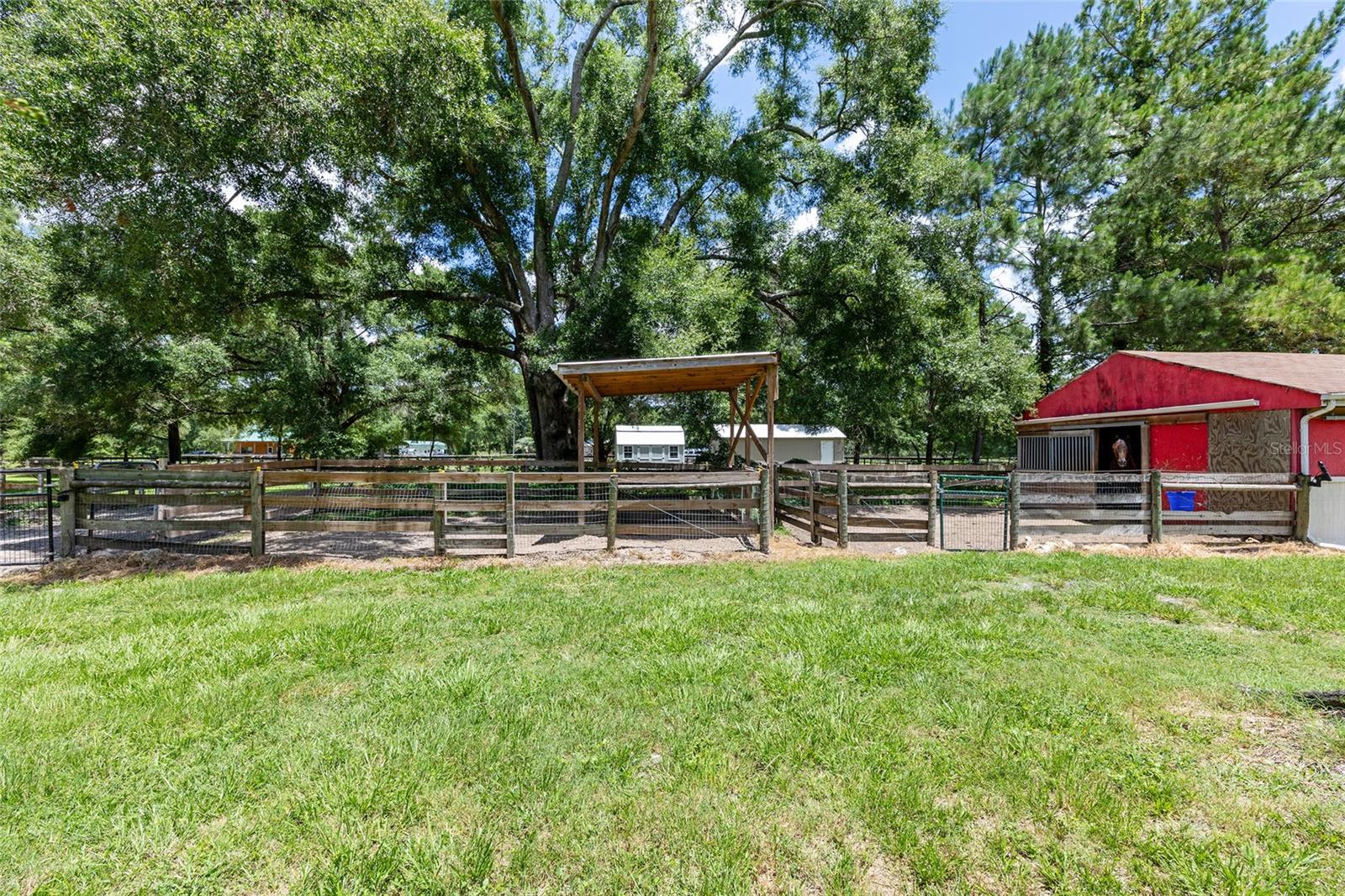 16353 NW 130 ST, WILLISTON, FL — photo 45