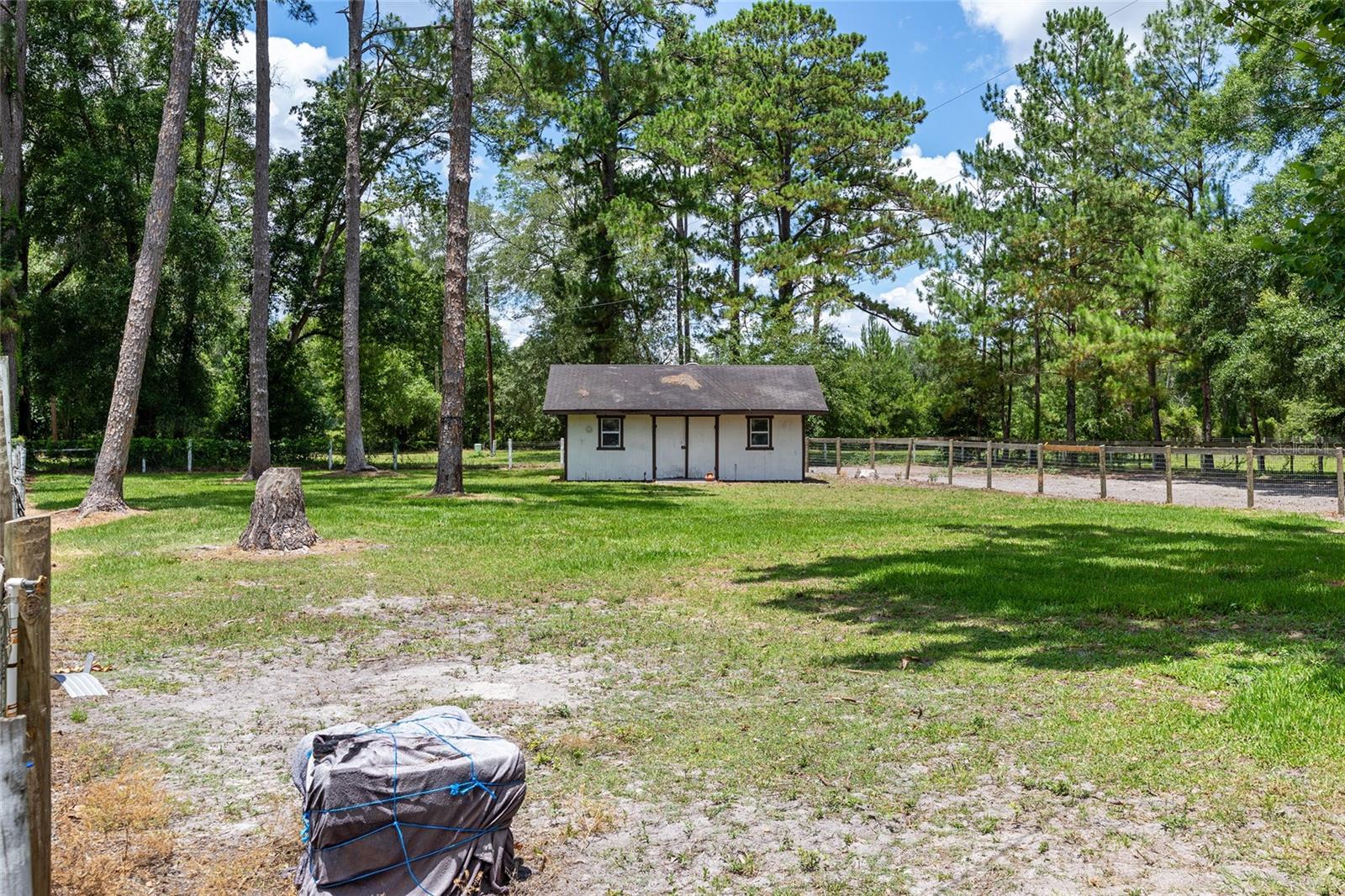 16353 NW 130 ST, WILLISTON, FL — photo 46