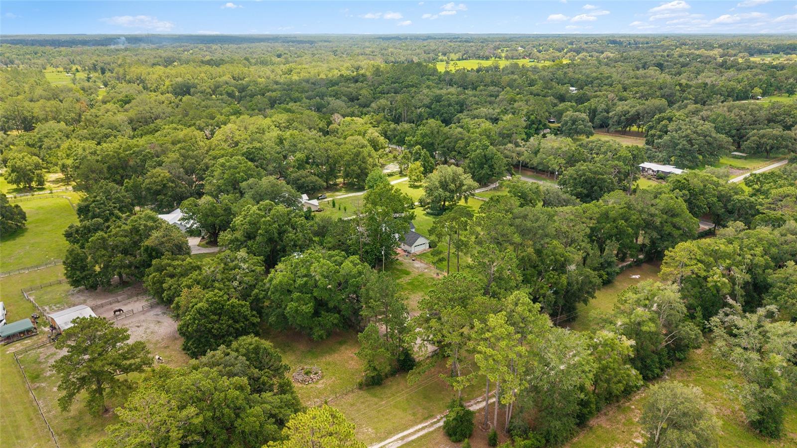16353 NW 130 ST, WILLISTON, FL — photo 55
