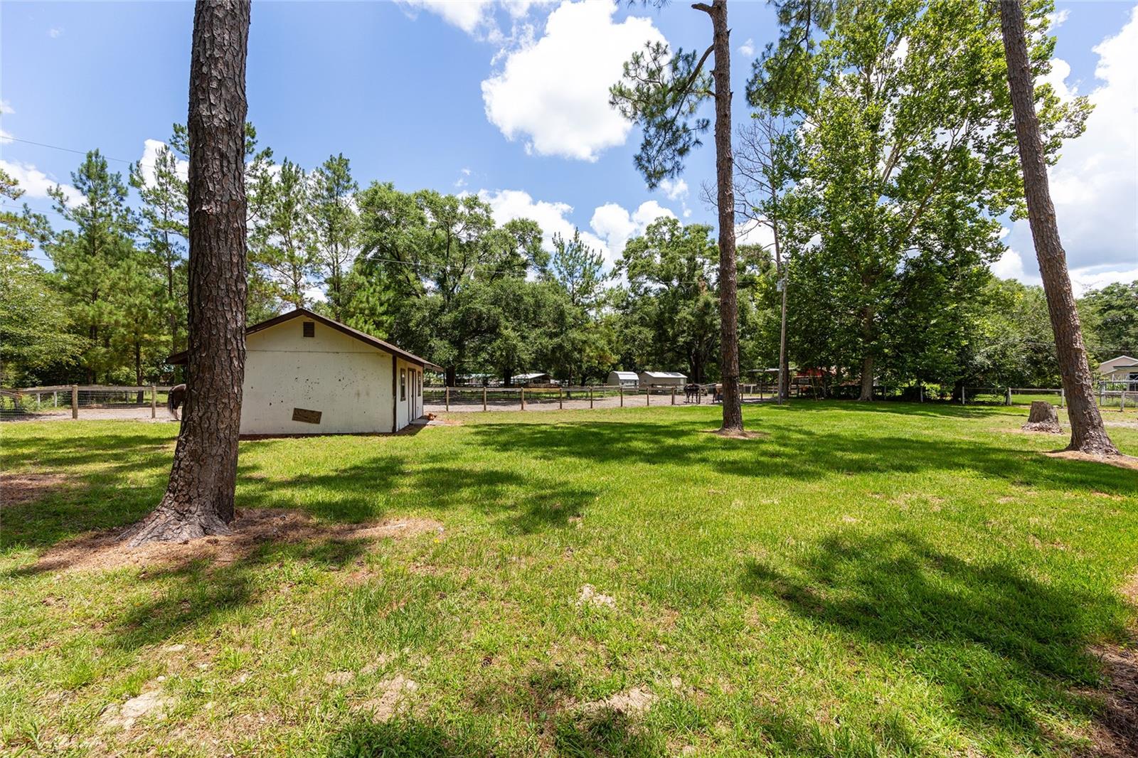 16353 NW 130 ST, WILLISTON, FL — photo 56