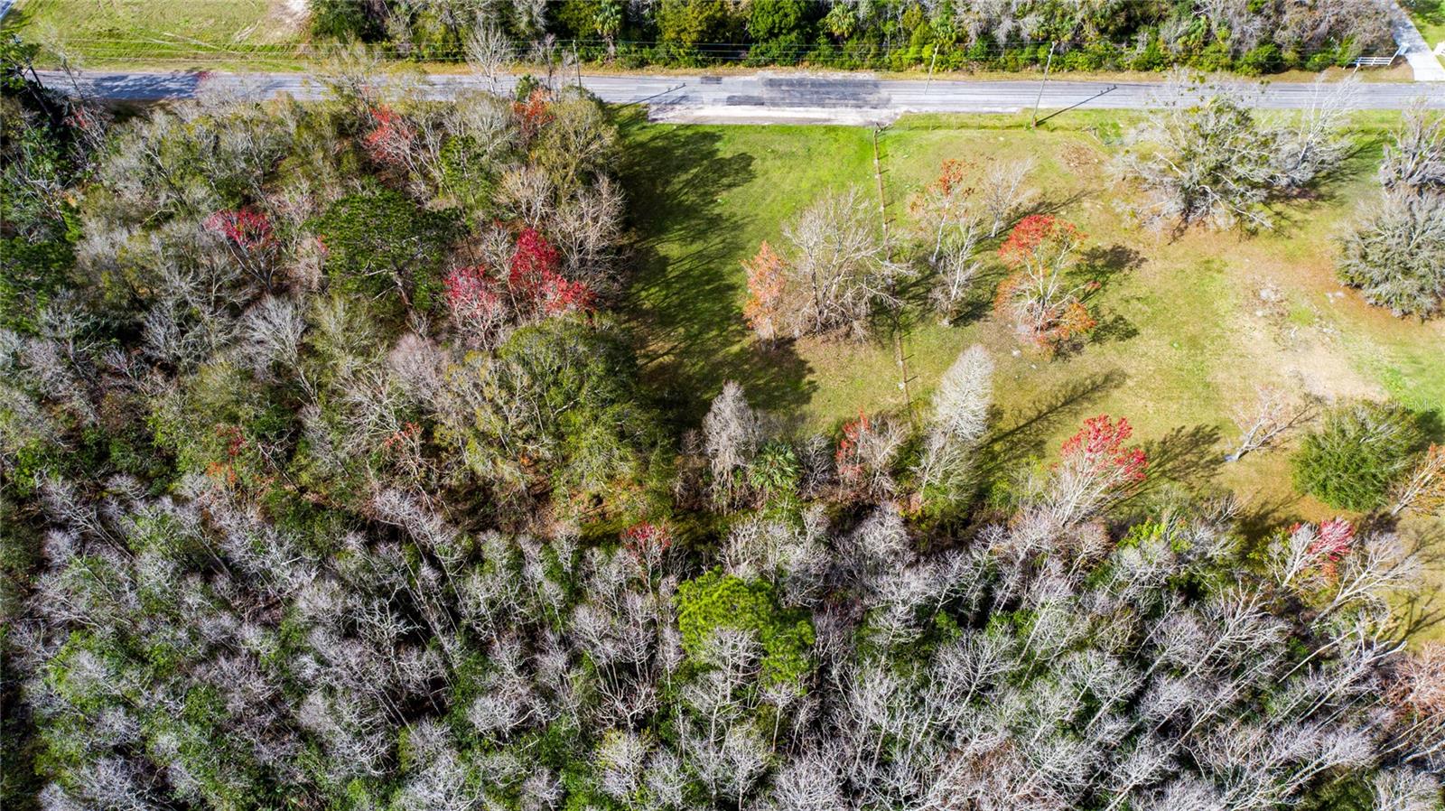 4925 S MORNINGSIDE TER, HOMOSASSA, FL — photo 2