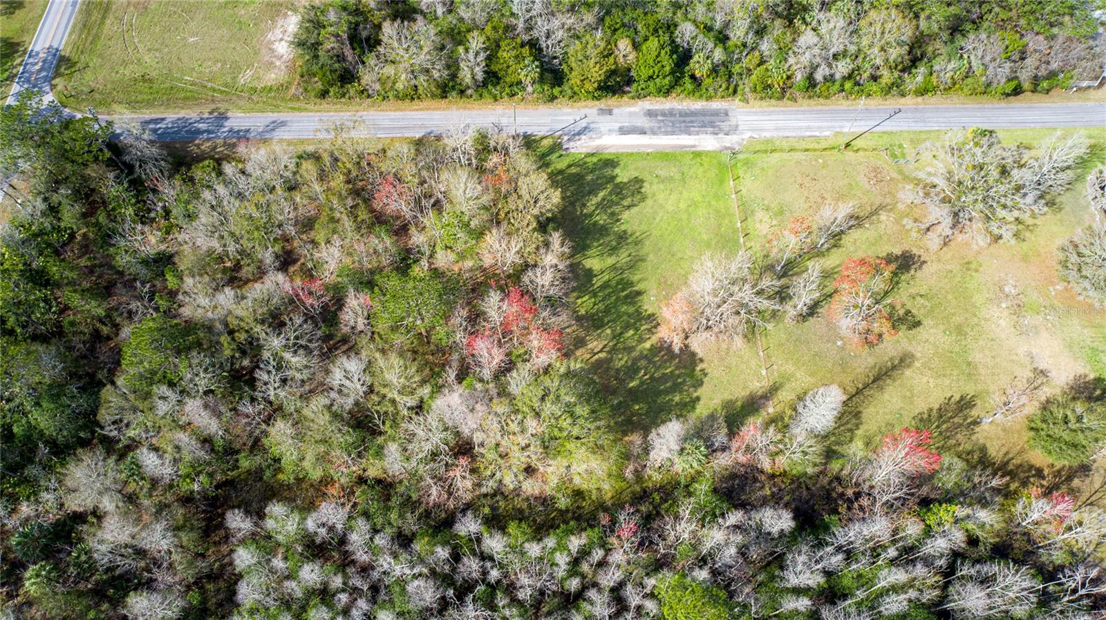 4925 S MORNINGSIDE TER, HOMOSASSA, FL — photo 6