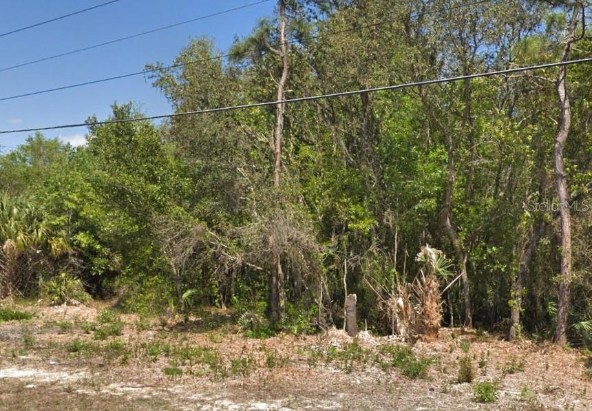 4030 S KINGS AVE, HOMOSASSA, FL — photo 2