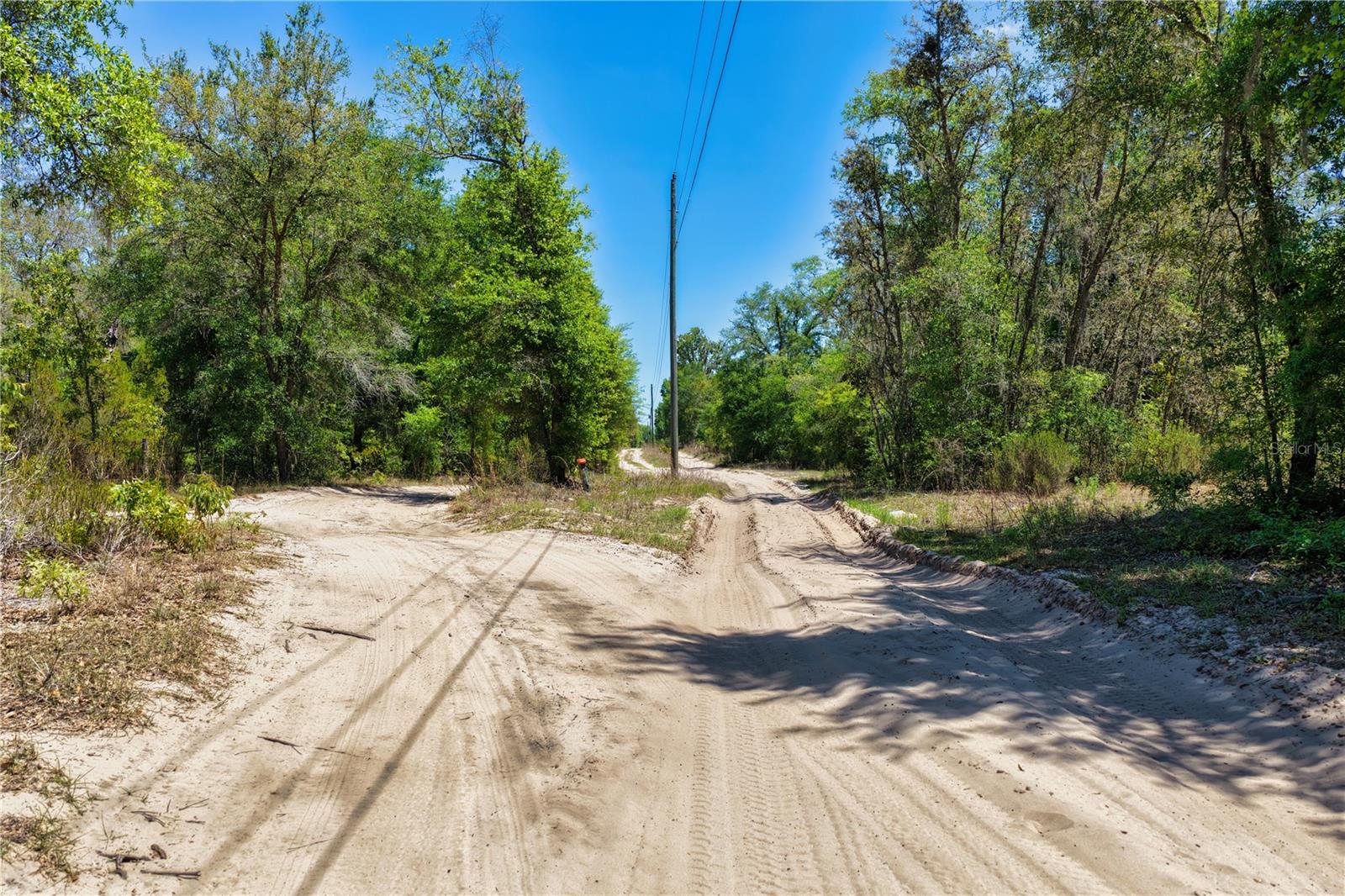 2 NE 125TH ST, BRONSON, FL — photo 8