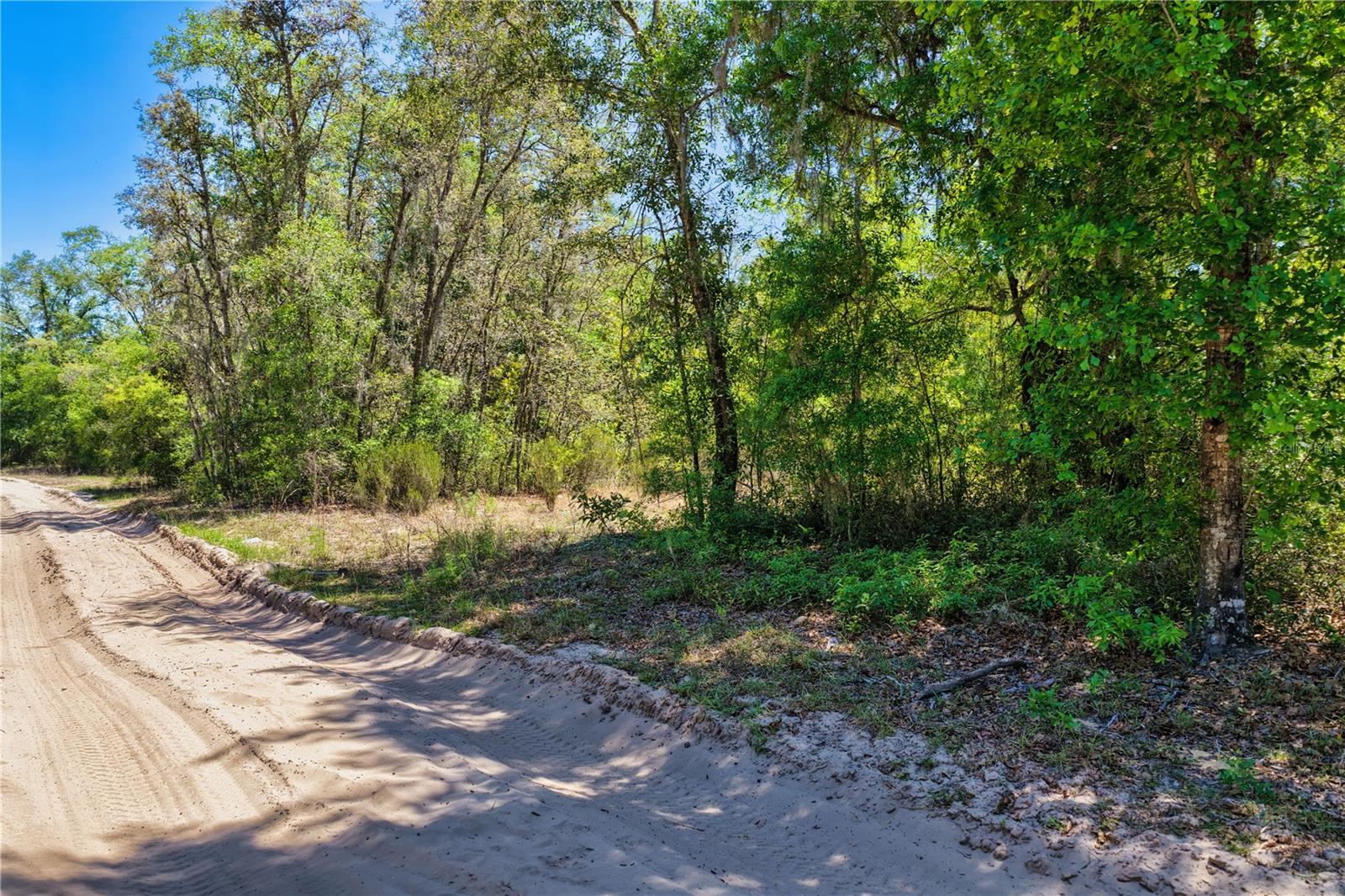 2 NE 125TH ST, BRONSON, FL — photo 9