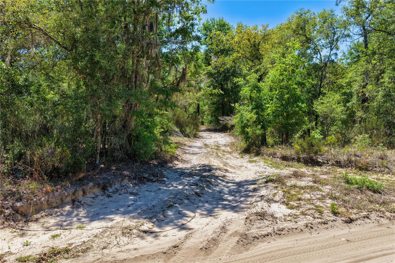 2 NE 125TH ST, BRONSON, FL — photo 10
