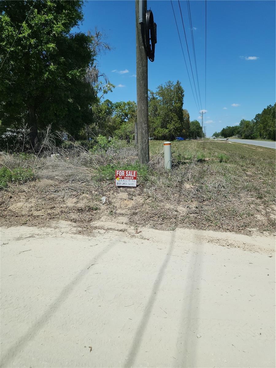 2 NE 125TH ST, BRONSON, FL — photo 19