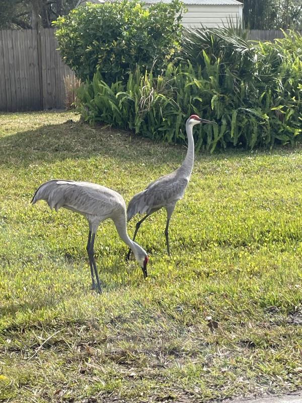 32 FYFE AVE, DEBARY, FL — photo 4