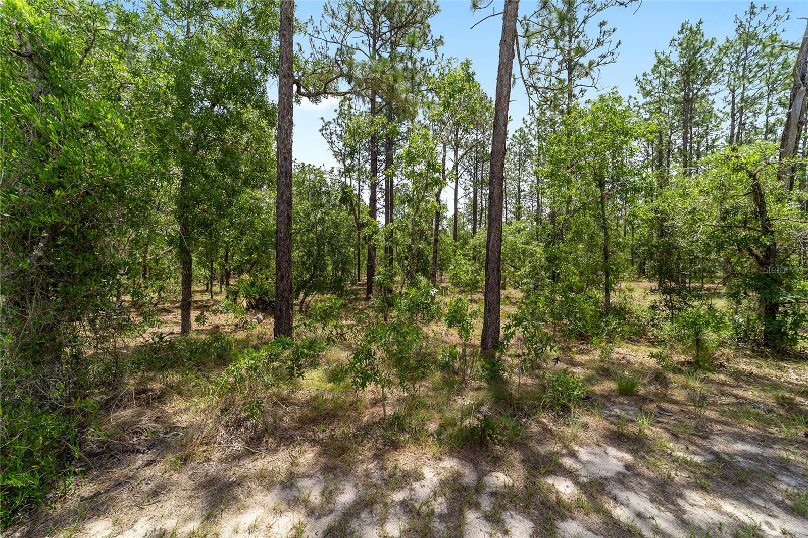 7035 SW 136TH COURT RD, OCALA, FL — photo 31