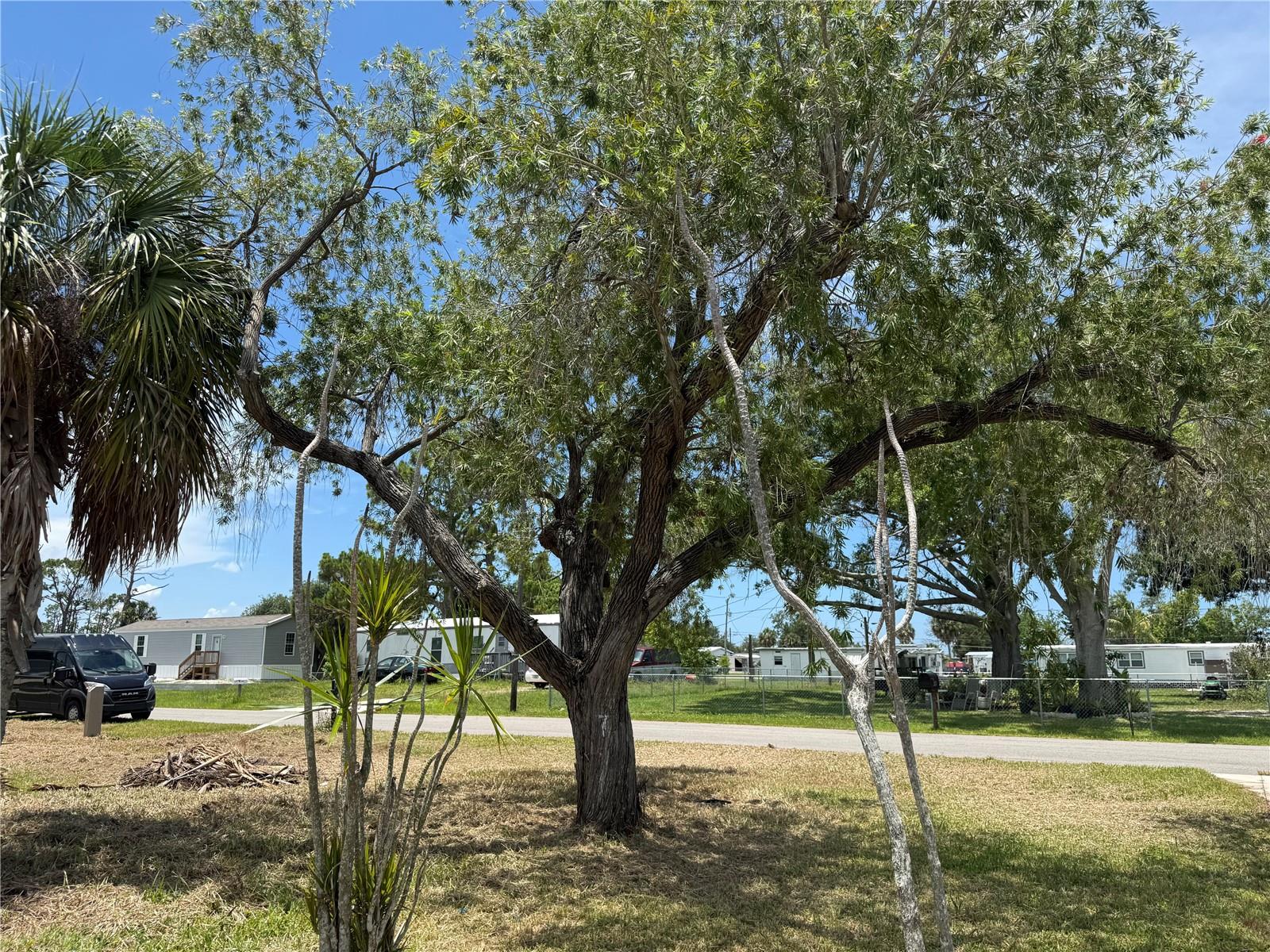 3825 BRAVO RD, PORT CHARLOTTE, FL — photo 6
