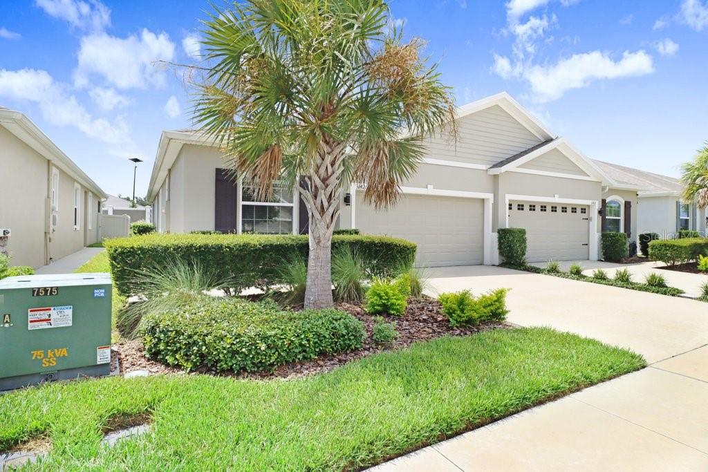 31426 MANGO FADE WAY, SAN ANTONIO, FL — photo 5