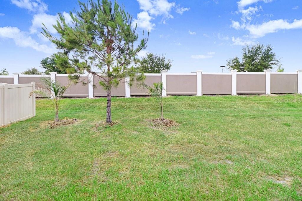 31426 MANGO FADE WAY, SAN ANTONIO, FL — photo 30