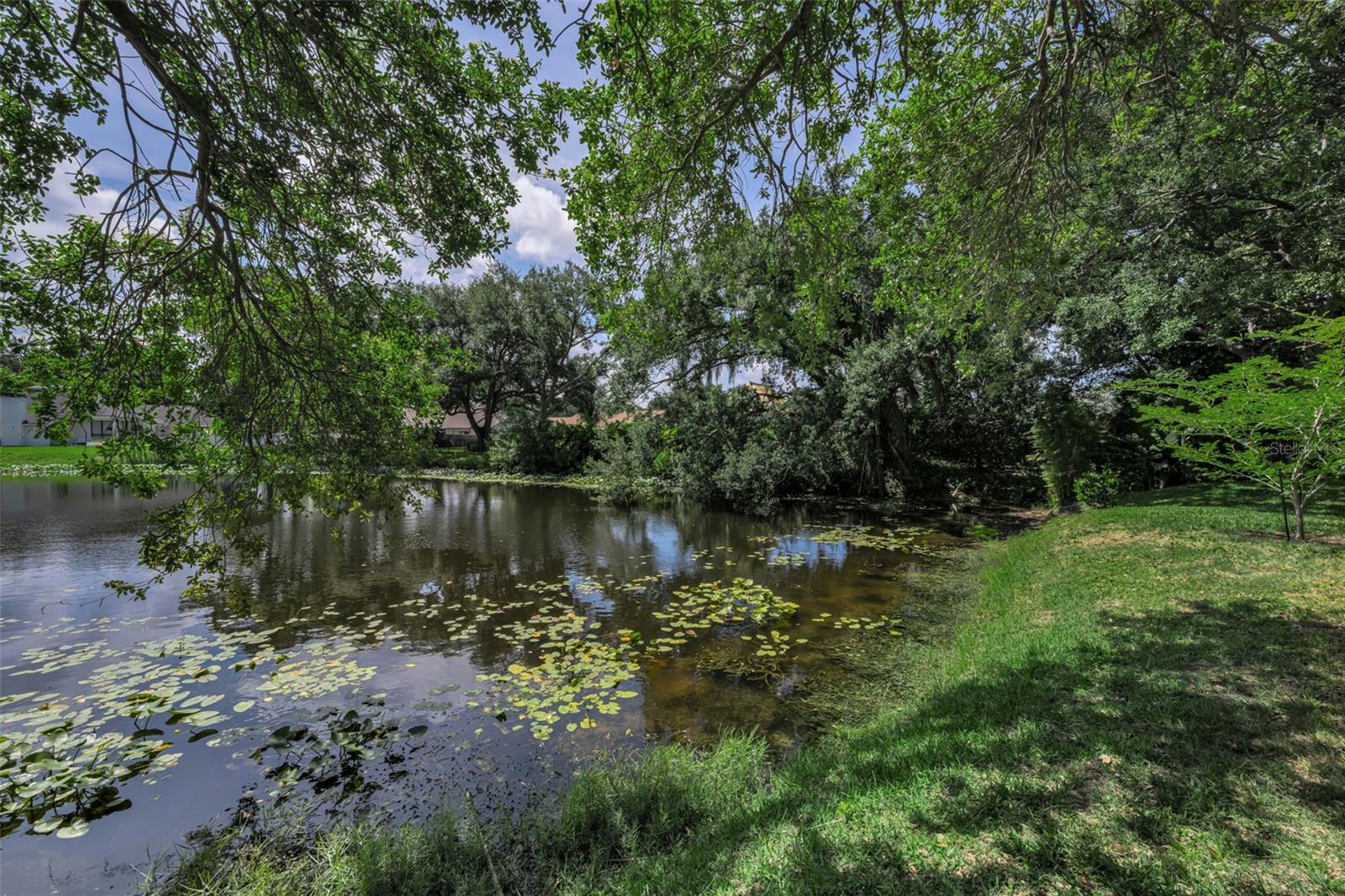 10497 LONGWOOD DR, SEMINOLE, FL — photo 3