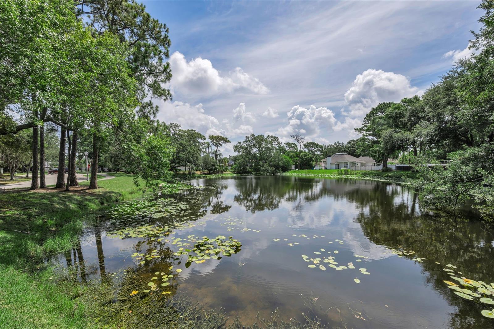 10497 LONGWOOD DR, SEMINOLE, FL — photo 48
