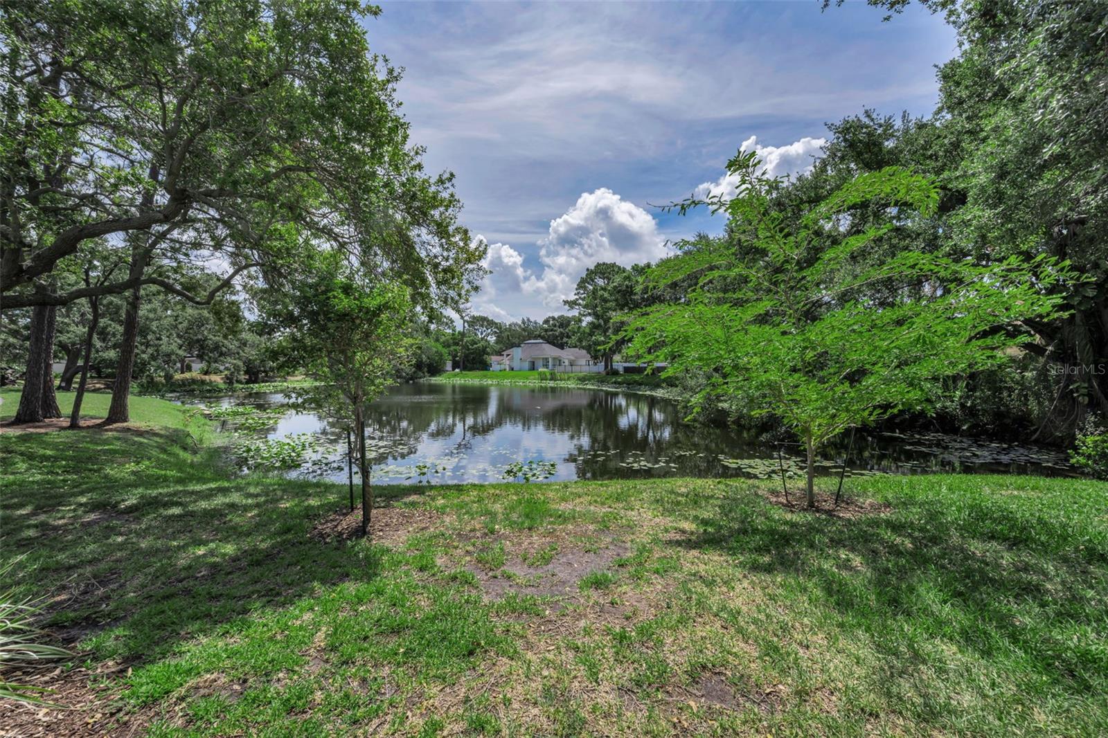 10497 LONGWOOD DR, SEMINOLE, FL — photo 54