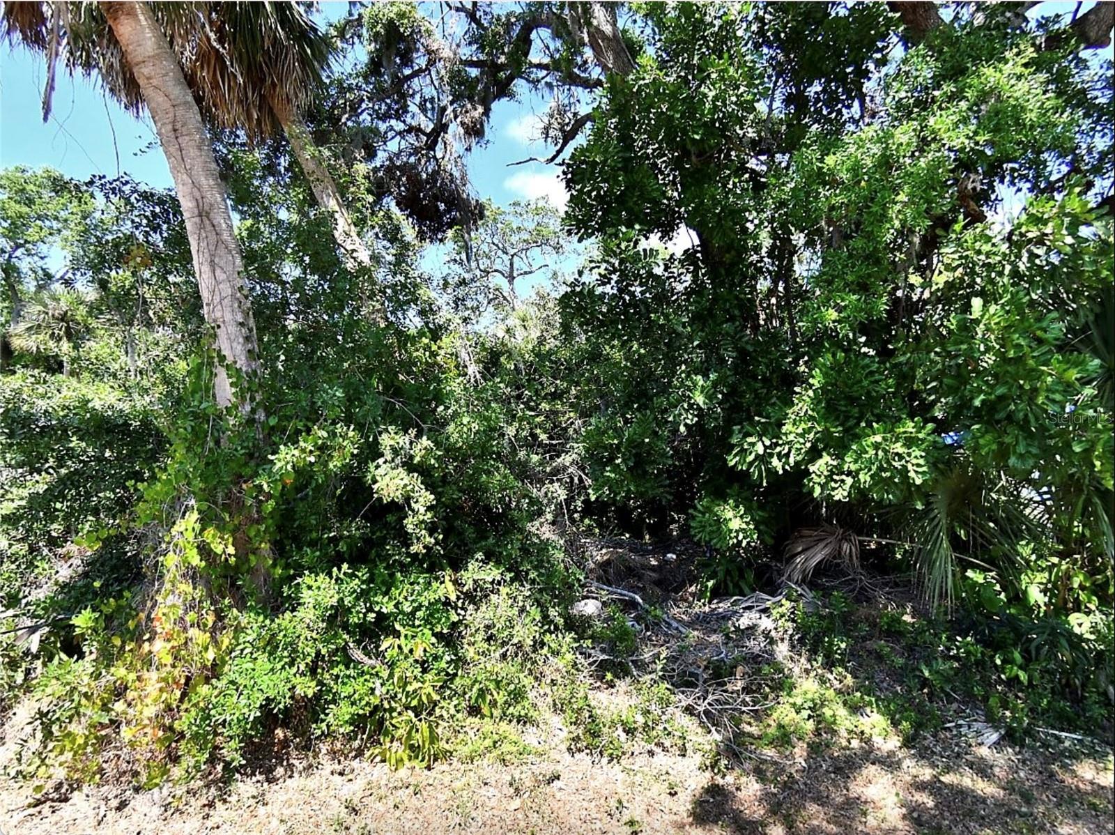 FOXGLOVE RD, VENICE, FL