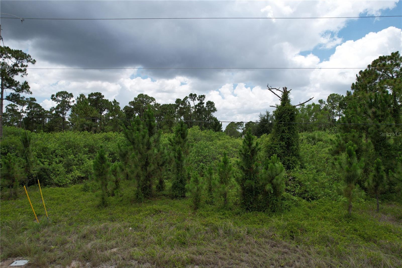 980 LAKESIDE DR, LEHIGH ACRES, FL