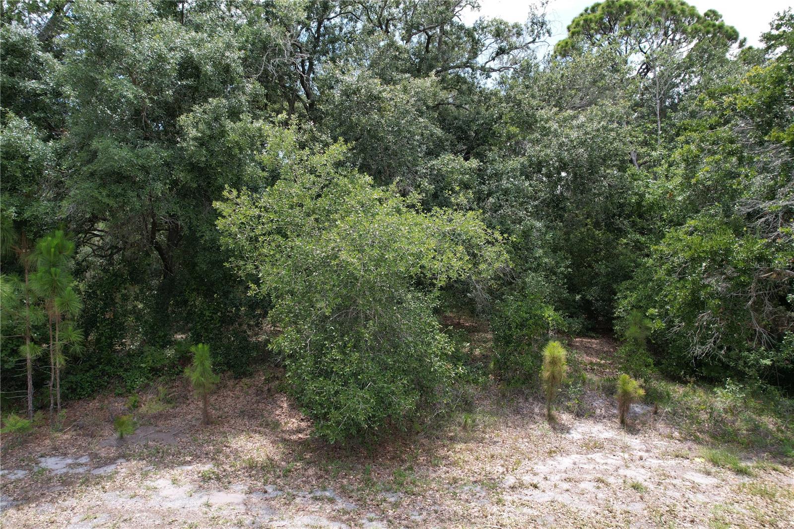 1008 WILDFLOWER ST, LAKE PLACID, FL