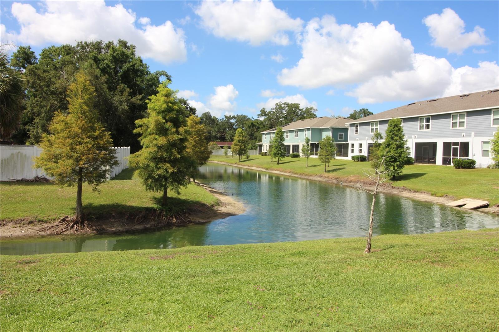 2135 LACEFLOWER DR, BRANDON, FL — photo 3